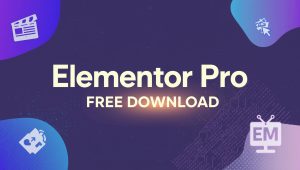 Elementor Pro v3.31.2 Plugin